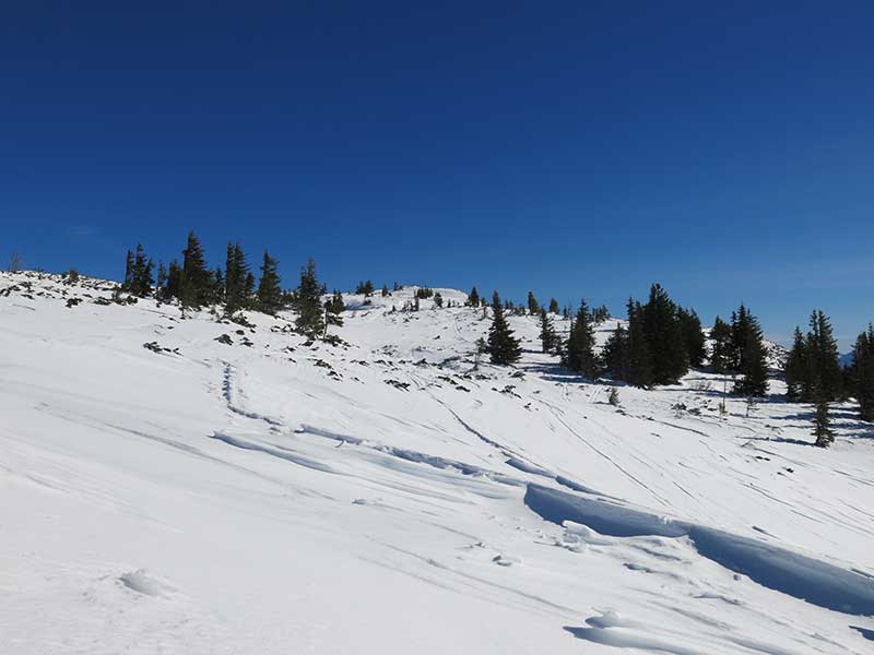 Buchbergkogel